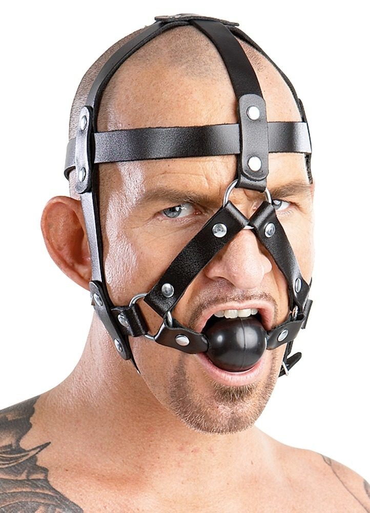 Zado Leather Head Harness